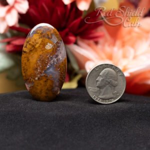 l16 55