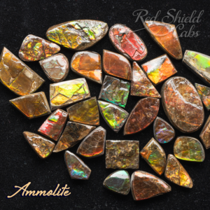 Ammolite