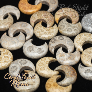 Coral Fossil Moons